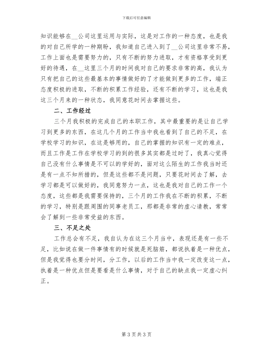 2024年公司程序员试用期工作总结_第3页