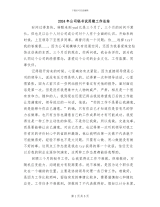 2024年公司秘书试用期工作总结