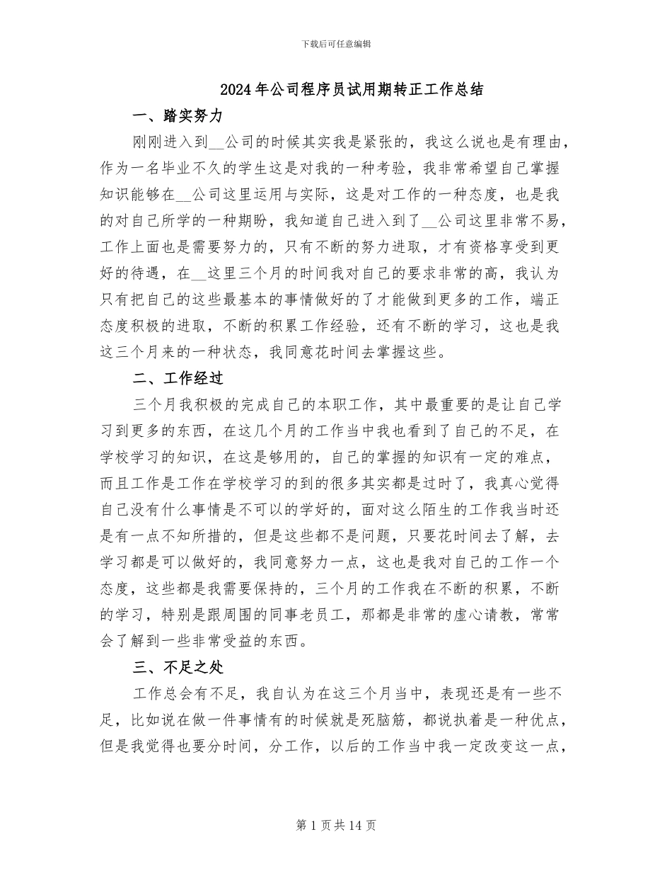 2024年公司程序员试用期转正工作总结_第1页