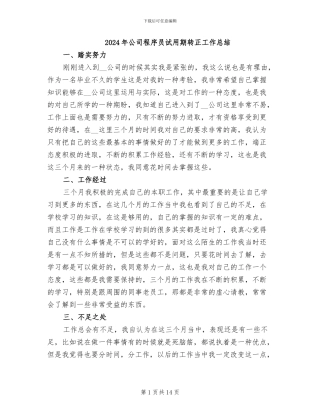 2024年公司程序员试用期转正工作总结