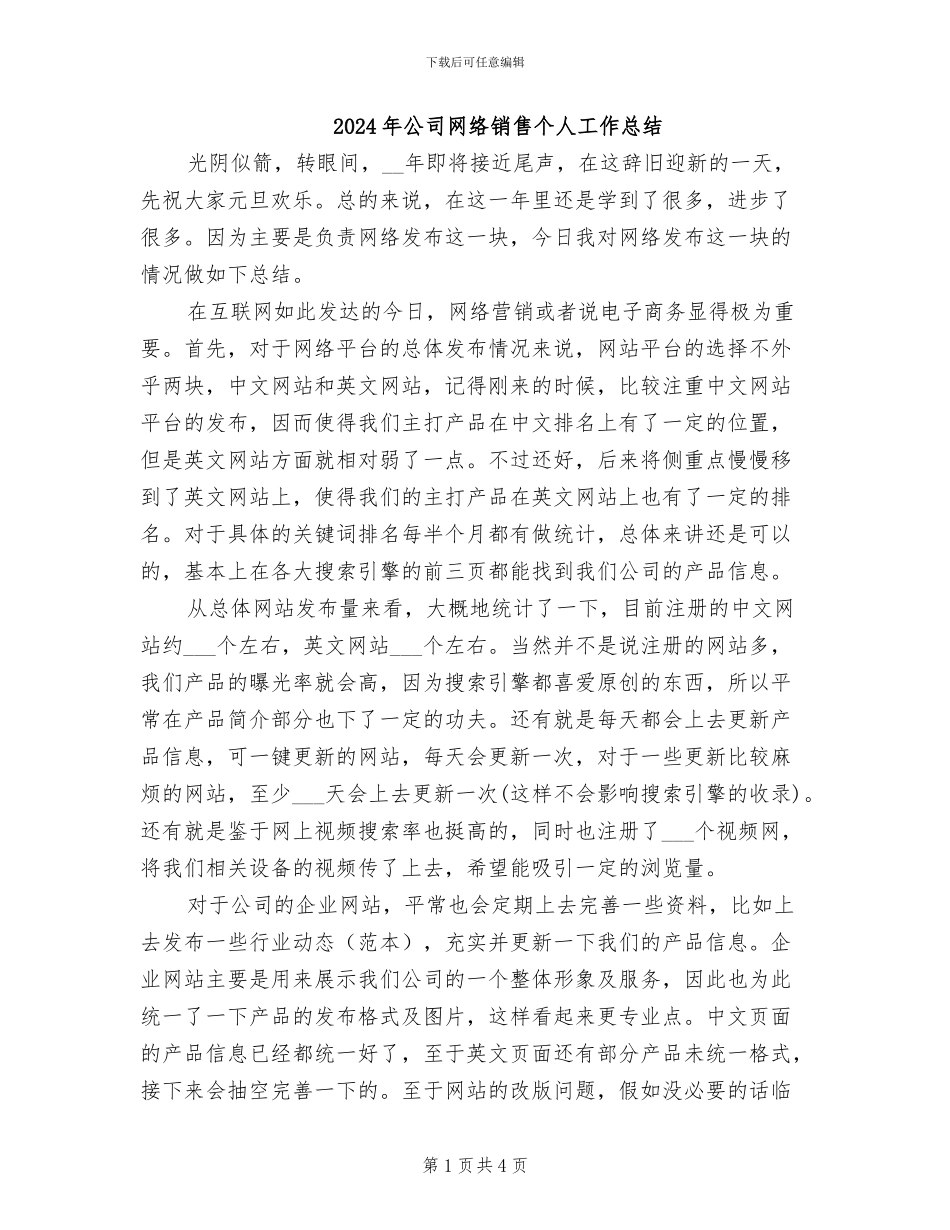 2024年公司网络销售个人工作总结_第1页