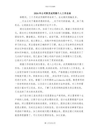 2024年公司职员试用期个人工作总结
