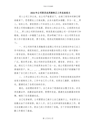 2024年公司职员试用期转正工作总结范文