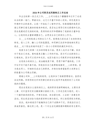 2024年公司职员试用期转正工作总结