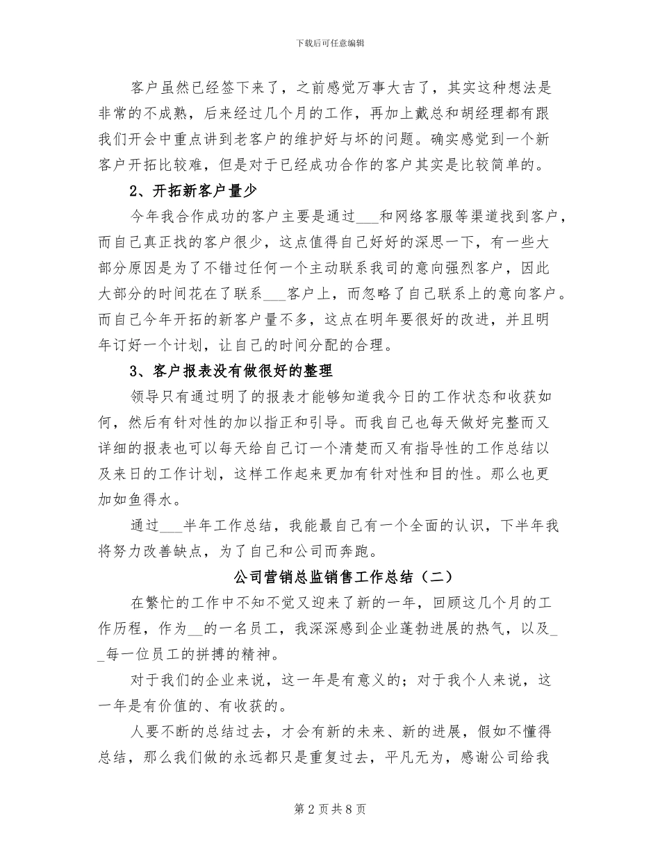 2024年公司营销总监销售工作总结_第2页