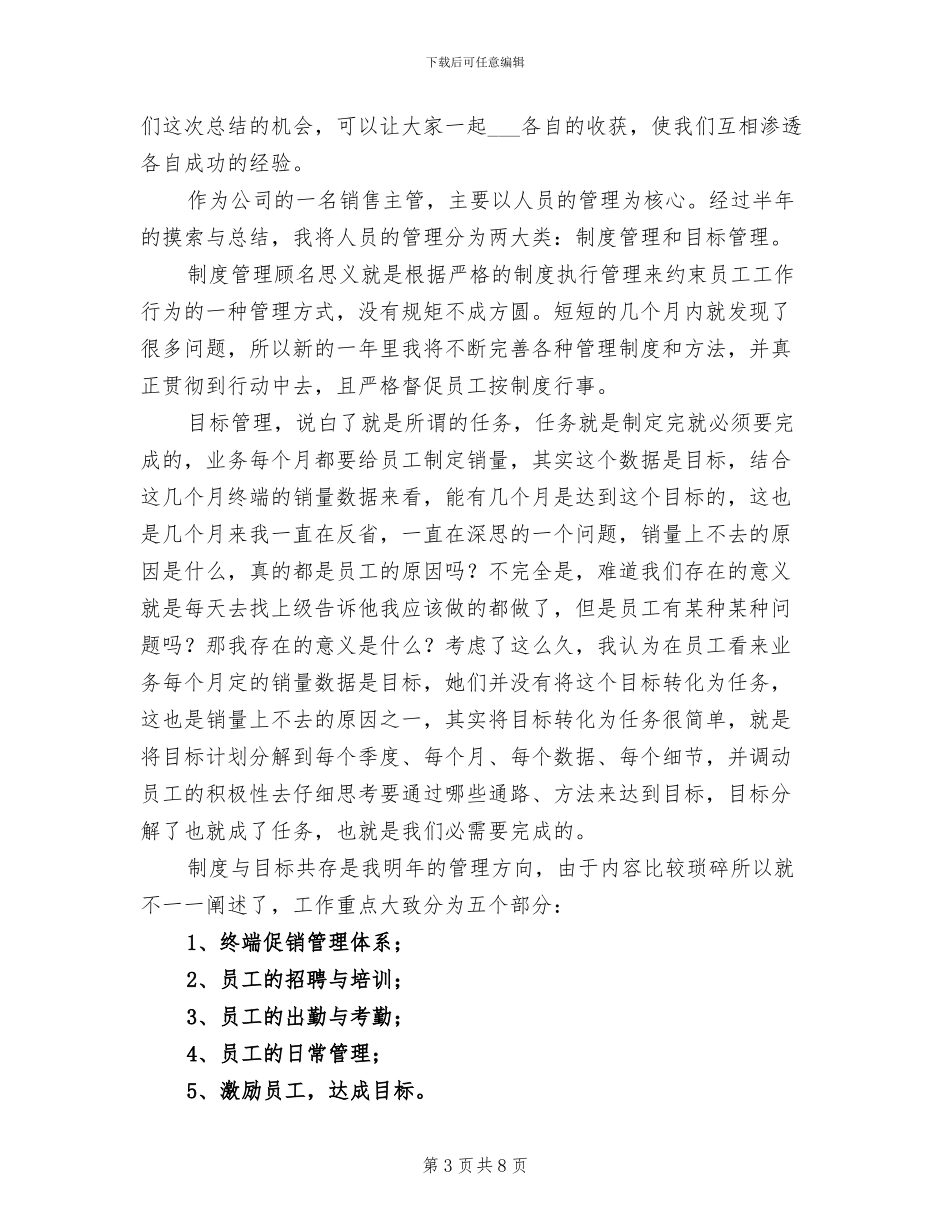 2024年公司营销总监销售工作总结_第3页