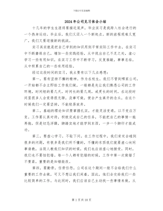 2024年公司见习体会小结