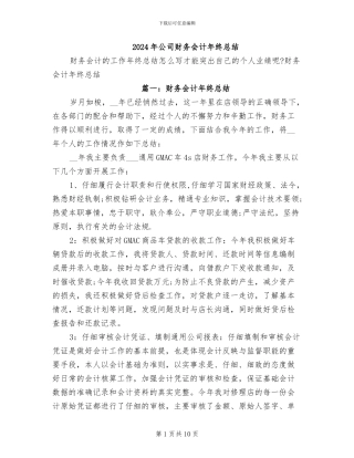 2024年公司财务会计年终总结