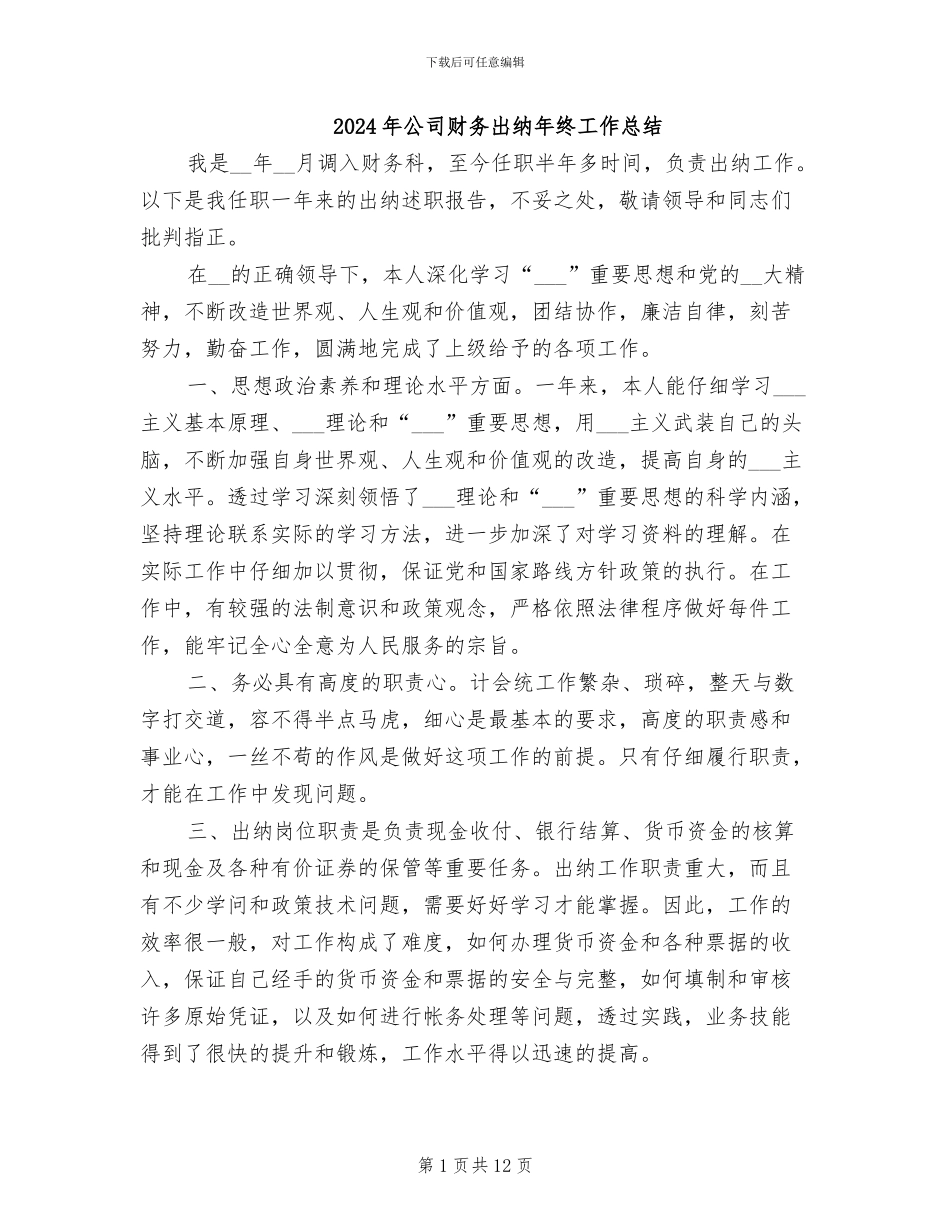 2024年公司财务出纳年终工作总结_第1页