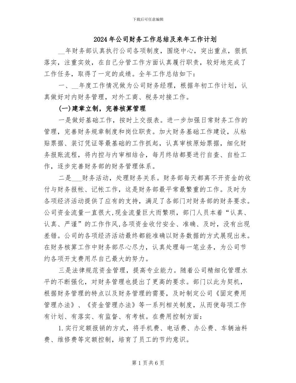 2024年公司财务工作总结及来年工作计划_第1页