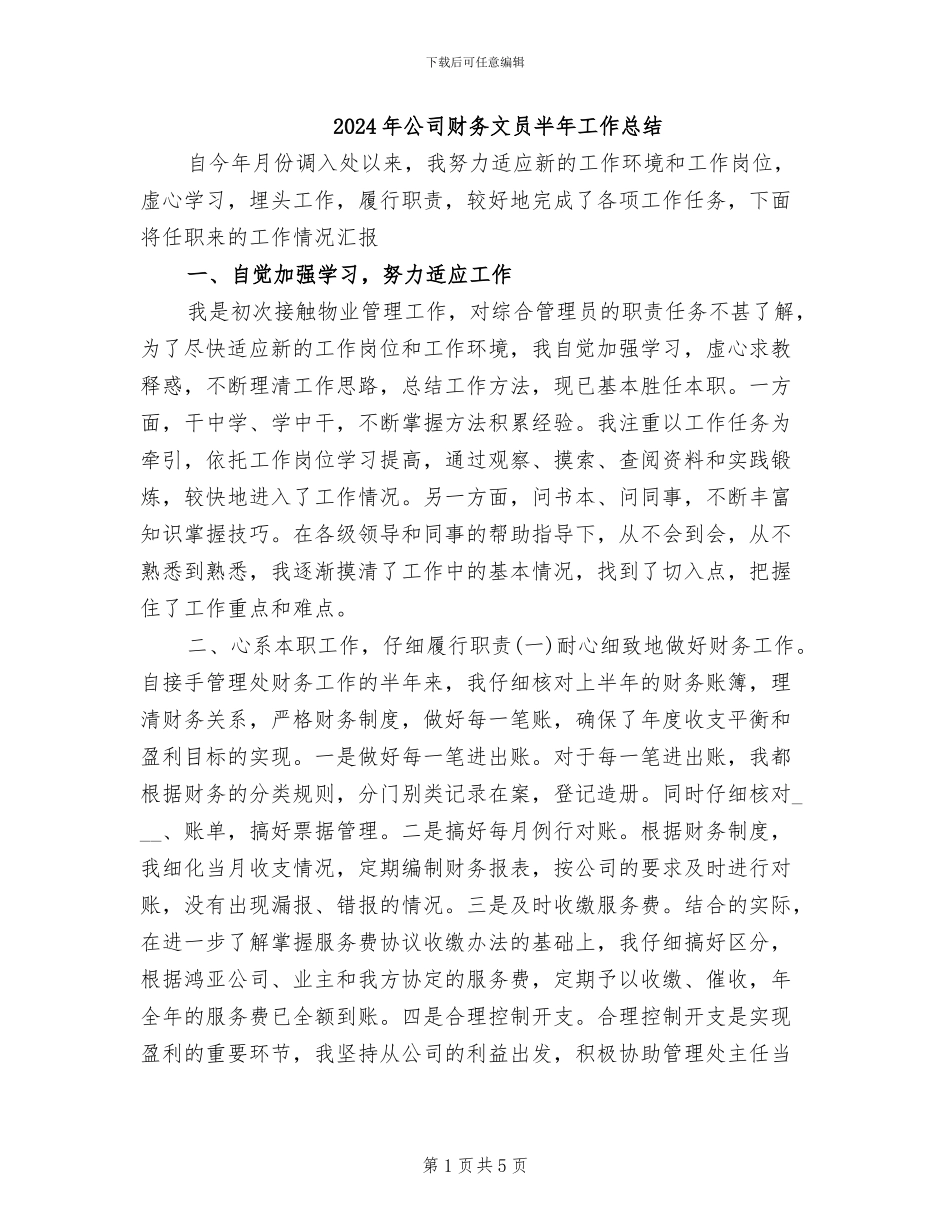 2024年公司财务文员半年工作总结_第1页