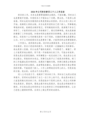 2024年公司财务新员工个人工作总结
