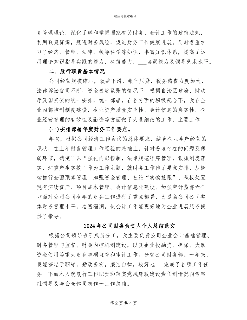 2024年公司财务负责人个人总结_第2页