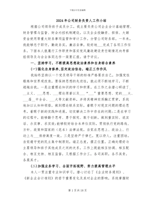 2024年公司财务负责人工作小结