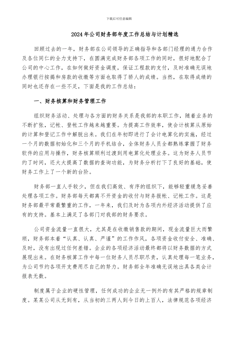 2024年公司财务部年度工作总结与计划精选_第1页
