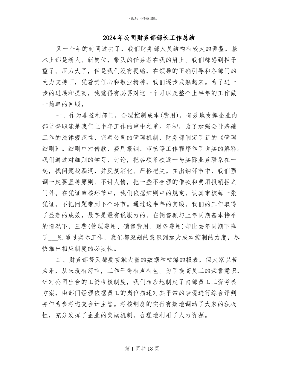 2024年公司财务部部长工作总结_第1页
