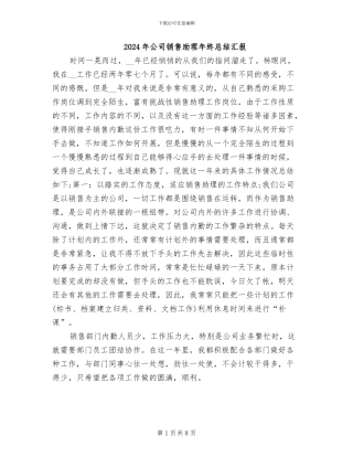 2024年公司销售助理年终总结汇报