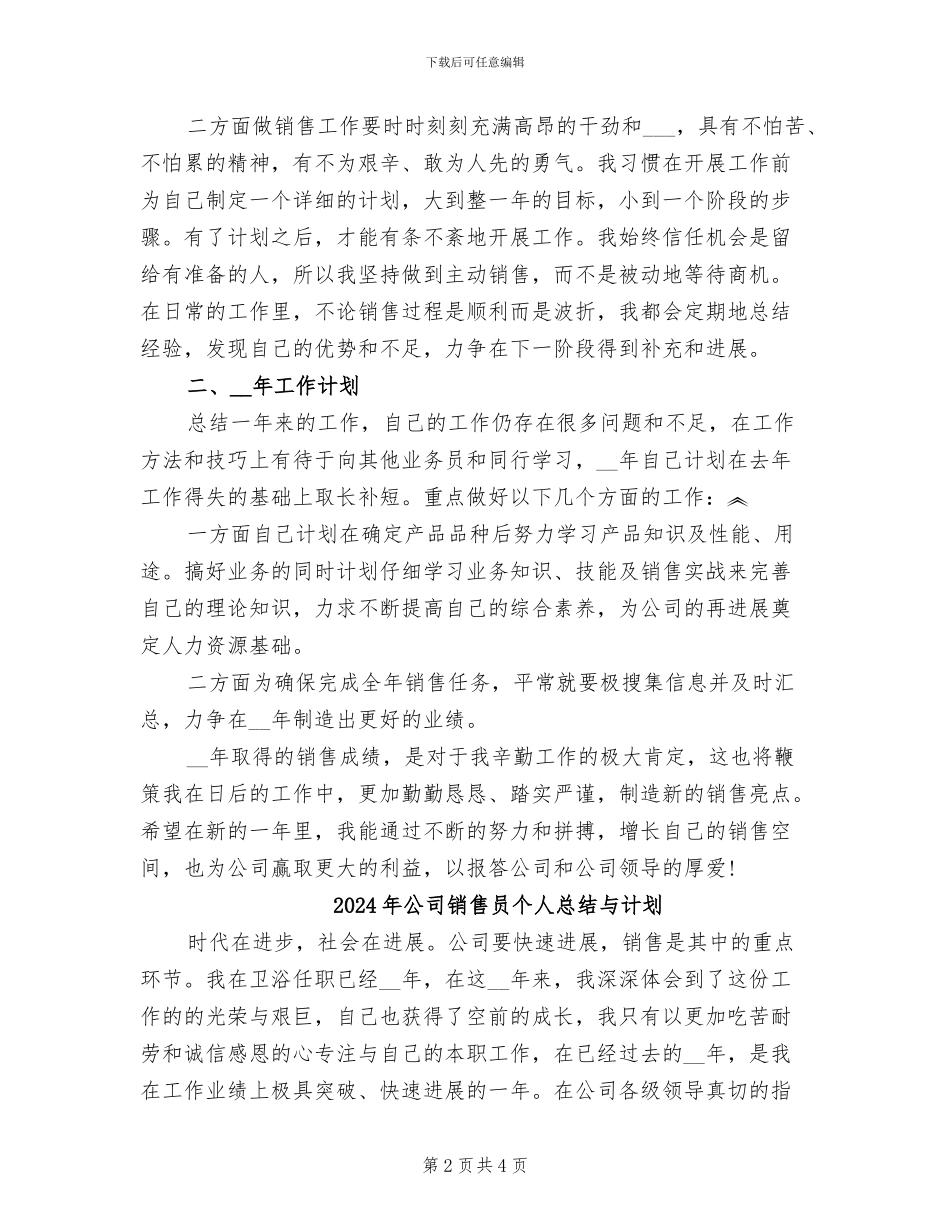 2024年公司销售员个人总结_第2页