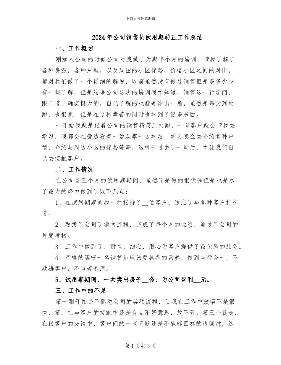 2024年公司销售员试用期转正工作总结_第1页