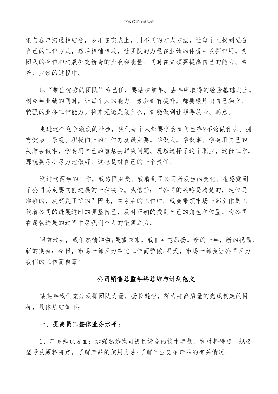 2024年公司销售总监年终总结与计划范文_第2页