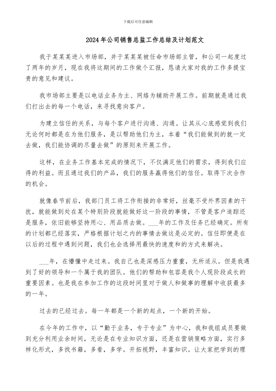 2024年公司销售总监工作总结及计划范文_第1页