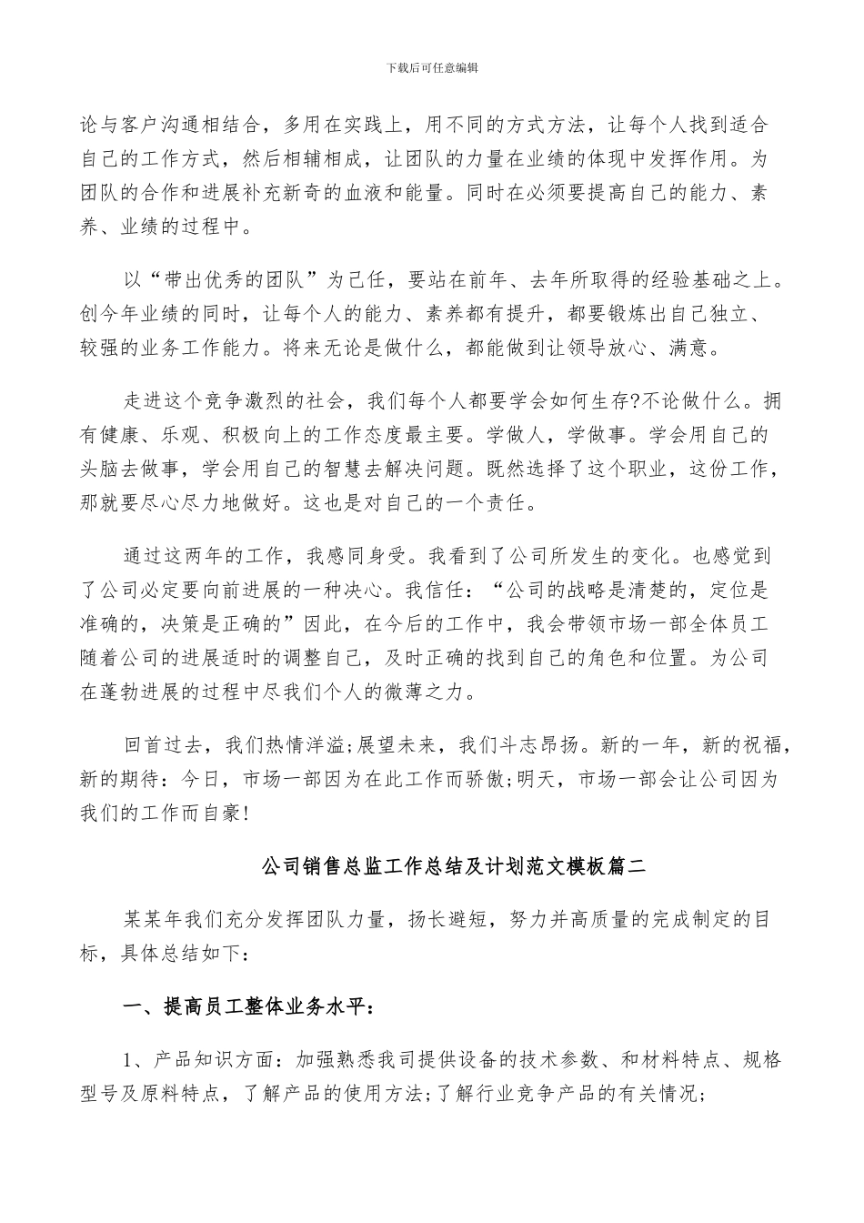 2024年公司销售总监工作总结及计划范文_第2页