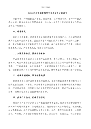 2024年公司销售部门工作总结及计划范文