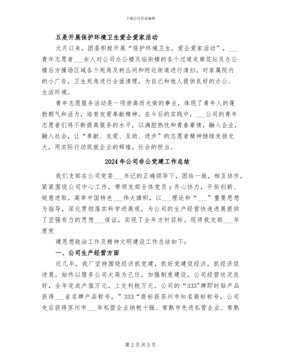 2024年公司青年志愿者活动总结_第2页