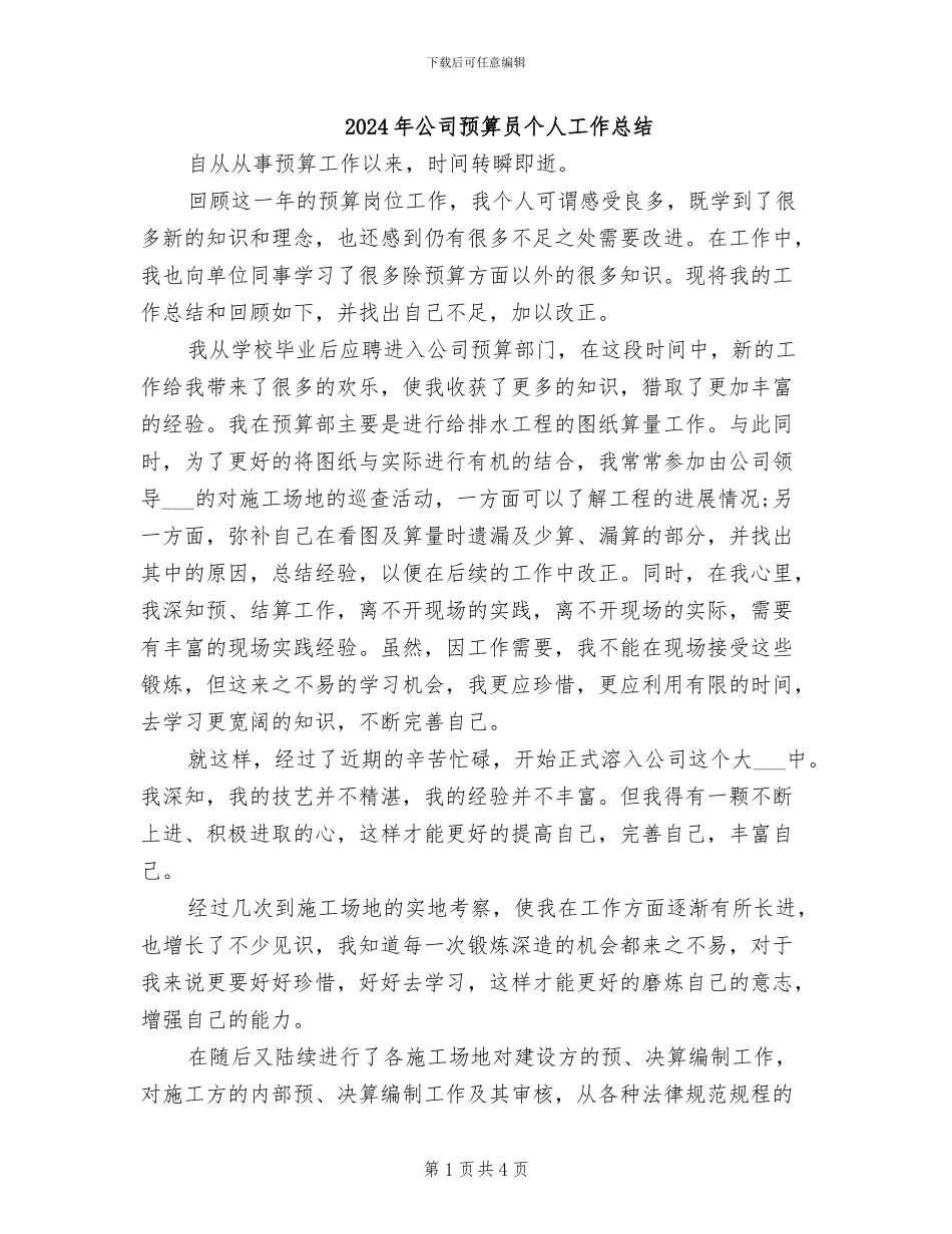 2024年公司预算员个人工作总结_第1页