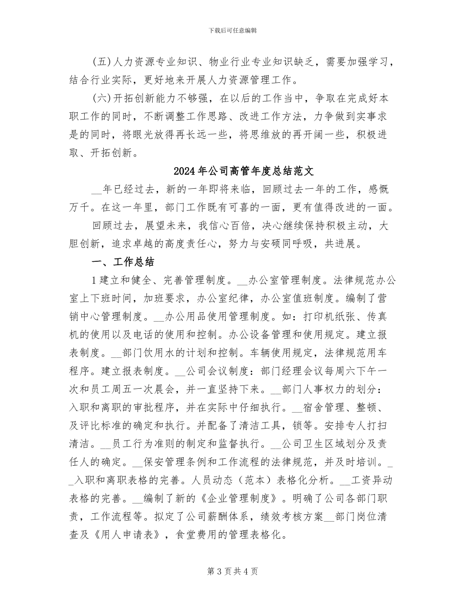 2024年公司高管年度总结_第3页