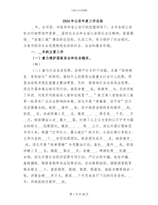 2024年公安年度工作总结