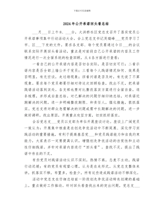 2024年公开承诺回头看总结