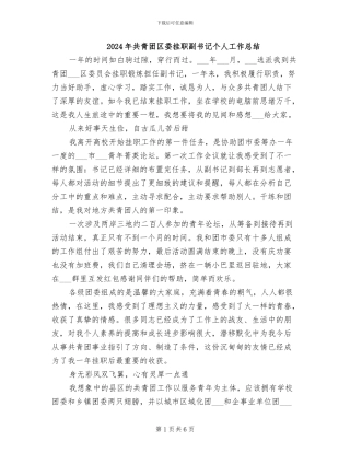2024年共青团区委挂职副书记个人工作总结