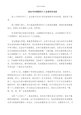 2024年共青团员个人自我评价总结