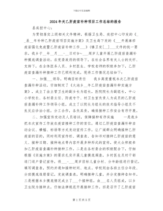 2024年关乙肝疫苗补种项目工作总结的报告