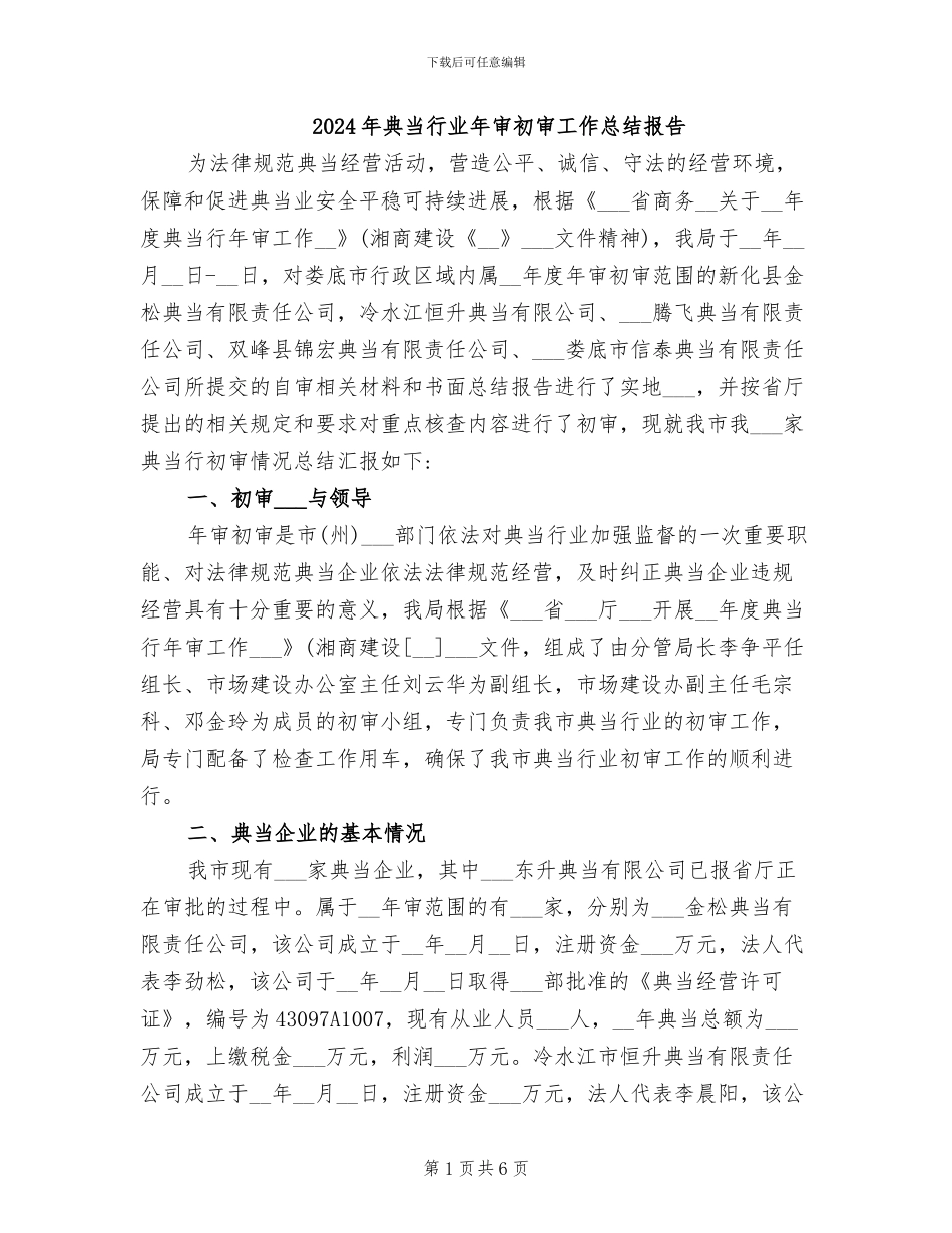 2024年典当行业年审初审工作总结报告_第1页