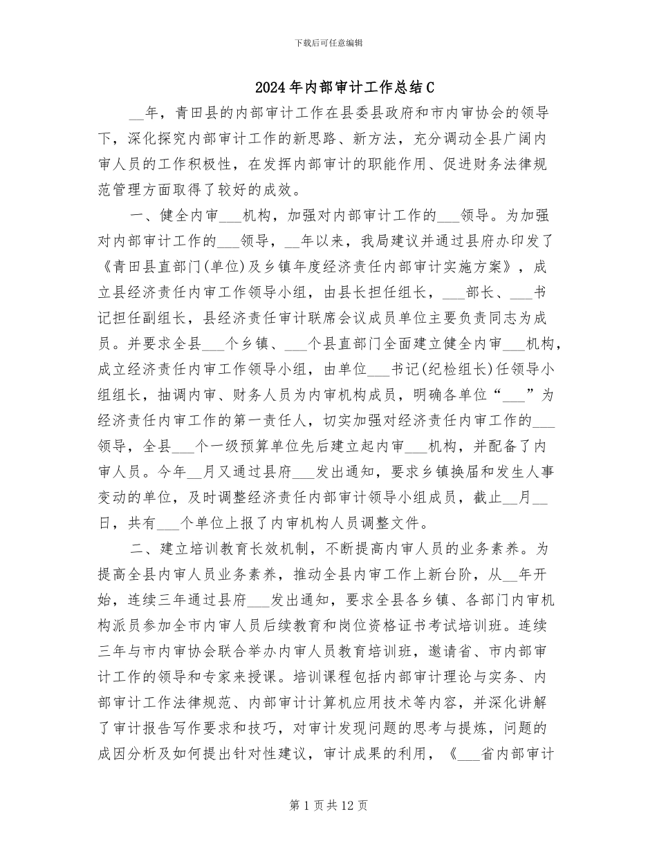 2024年内部审计工作总结C_第1页