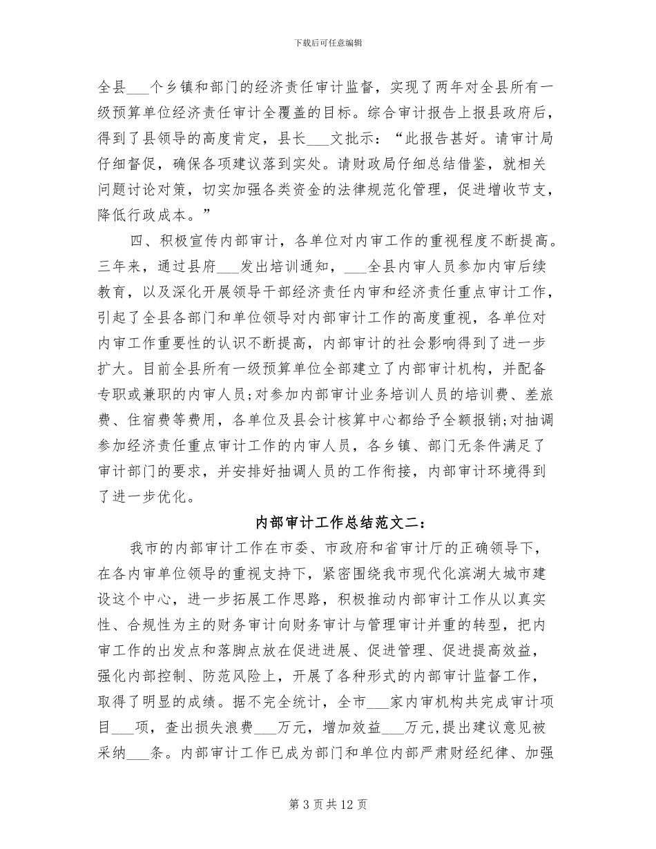2024年内部审计工作总结C_第3页