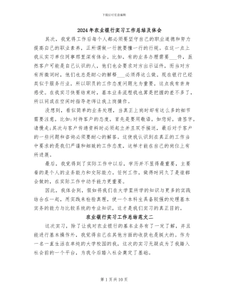 2024年农业银行实习工作总结及体会