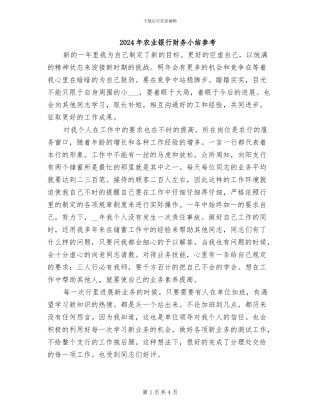 2024年农业银行财务小结参考