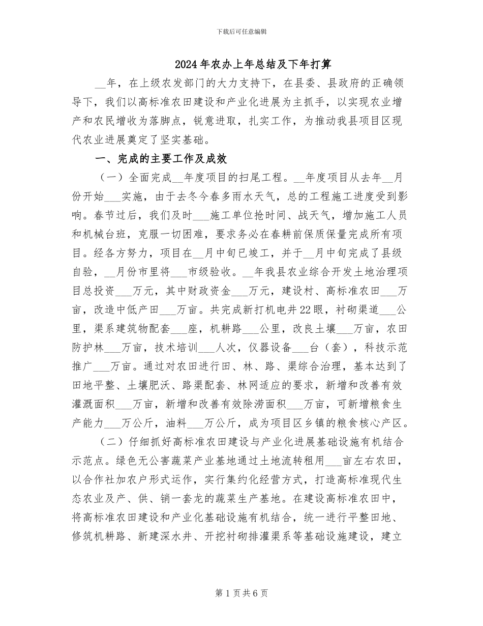 2024年农办上年总结及下年打算_第1页