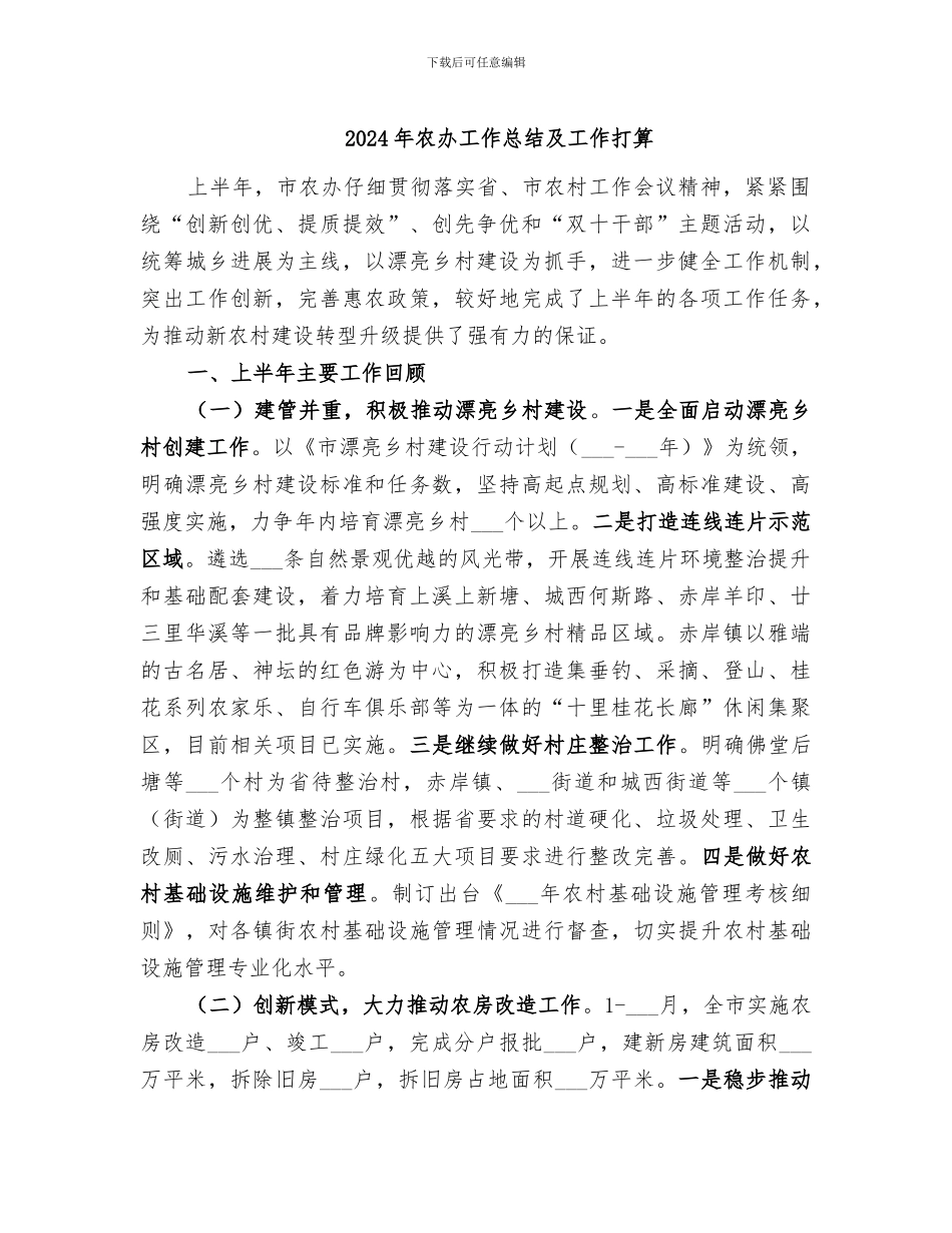 2024年农办工作总结及工作打算_第1页