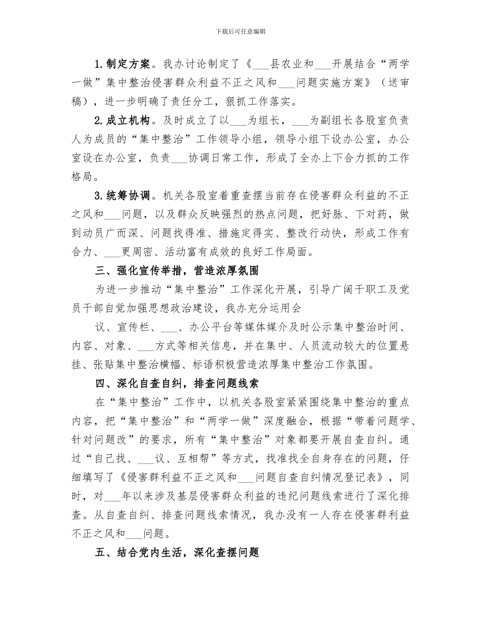 2024年农发办集中整治活动情况总结汇报_第2页