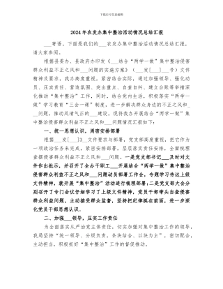 2024年农发办集中整治活动情况总结汇报