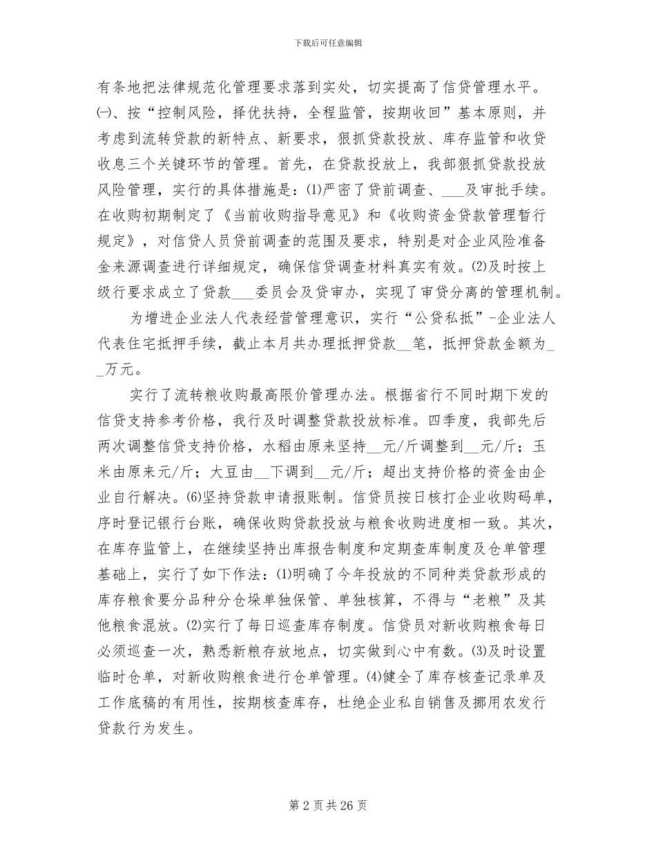 2024年农发行信贷年度工作总结_第2页