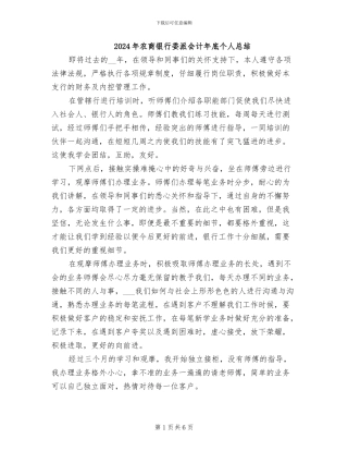 2024年农商银行委派会计年底个人总结