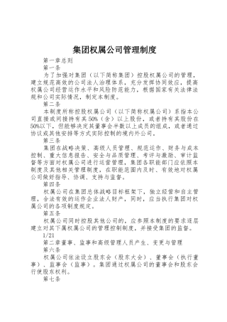 集团权属公司管理制度
