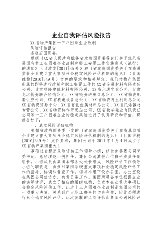 企业自我评估风险报告_1