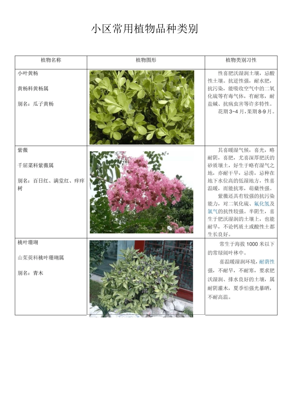 小区常用植物品种类别_第1页
