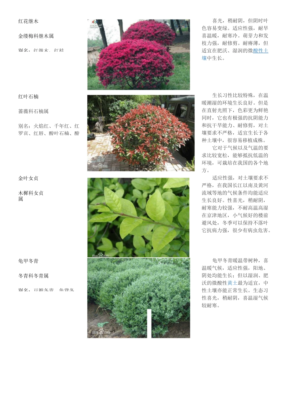 小区常用植物品种类别_第3页